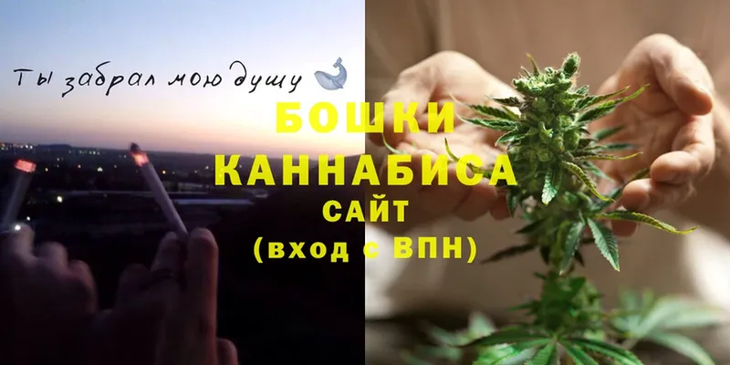 Бошки Шишки SATIVA & INDICA  omg   Весьегонск  где продают  